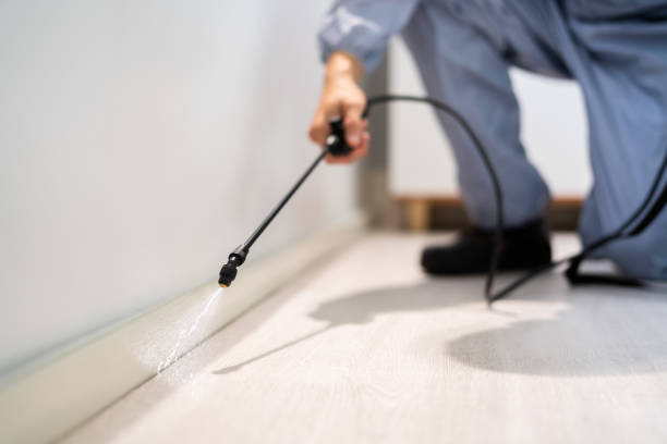 Licensed Pest Control service in Rochester, NY - Show Me Pest Control