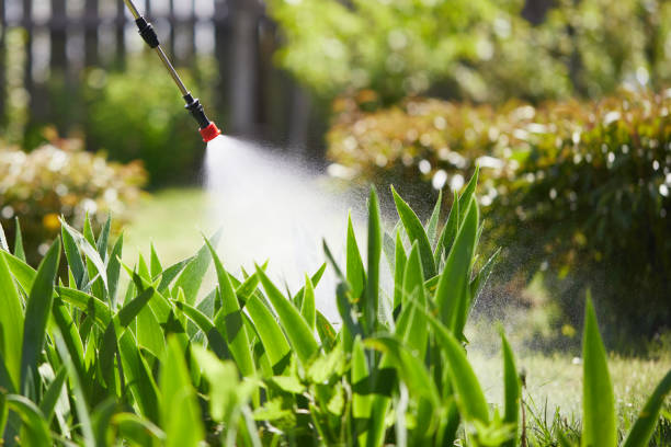 24/7 Emergency Mosquito Control experts in Rochester, NY
