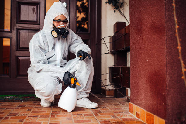Reliable Mosquito Control contractor in Rochester, NY by Show Me Pest Control