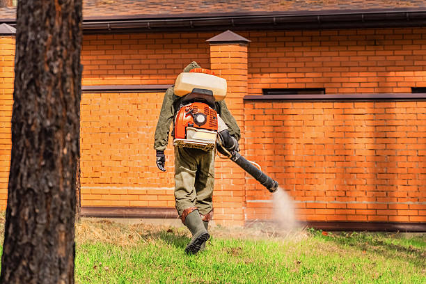 Top rated local Mosquito Control specialists in Rochester, NY